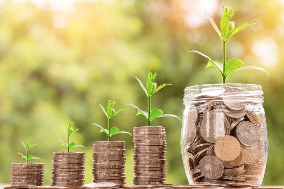 Professional Advisors Lunch & Learn